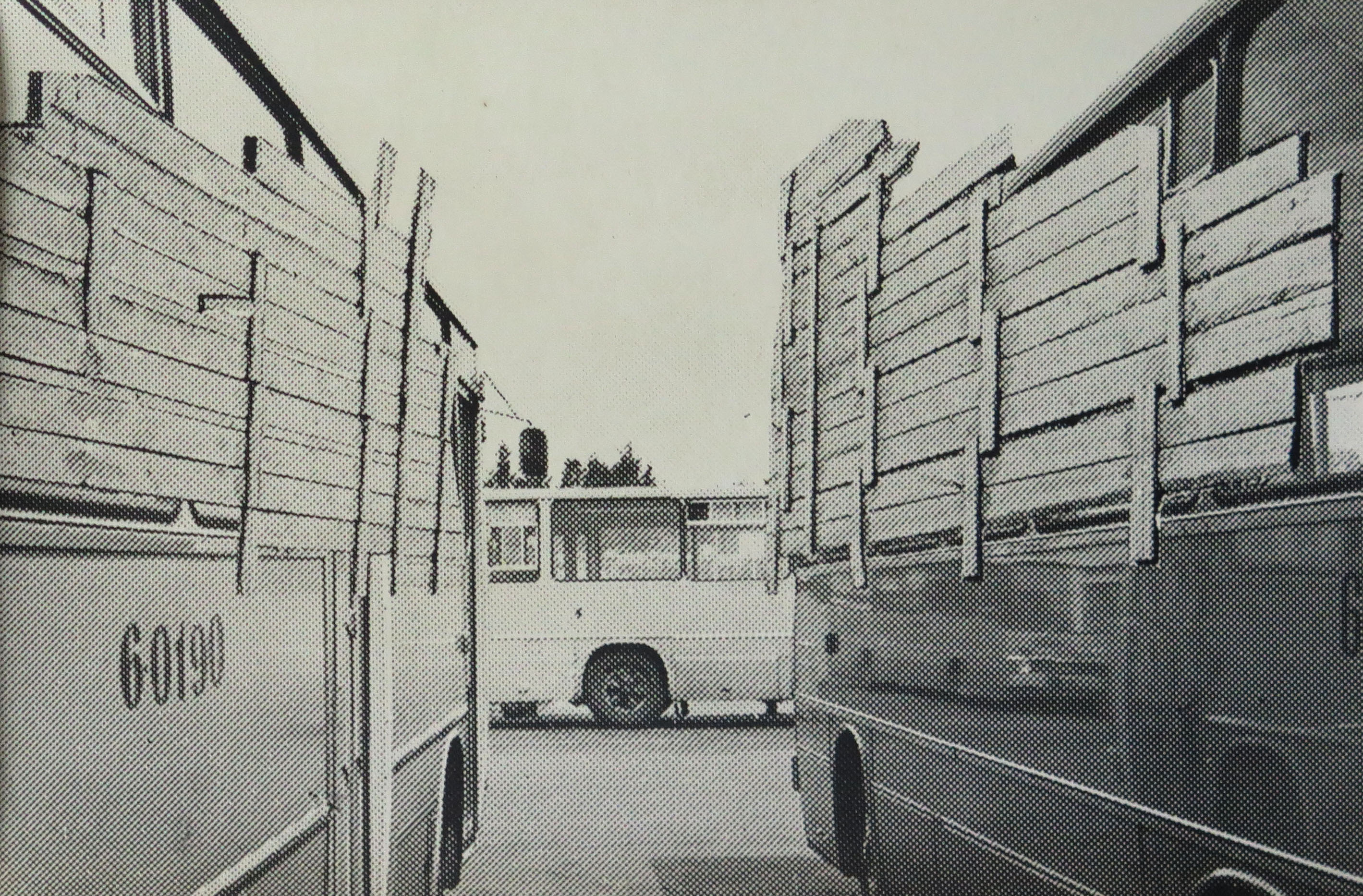 lot picture