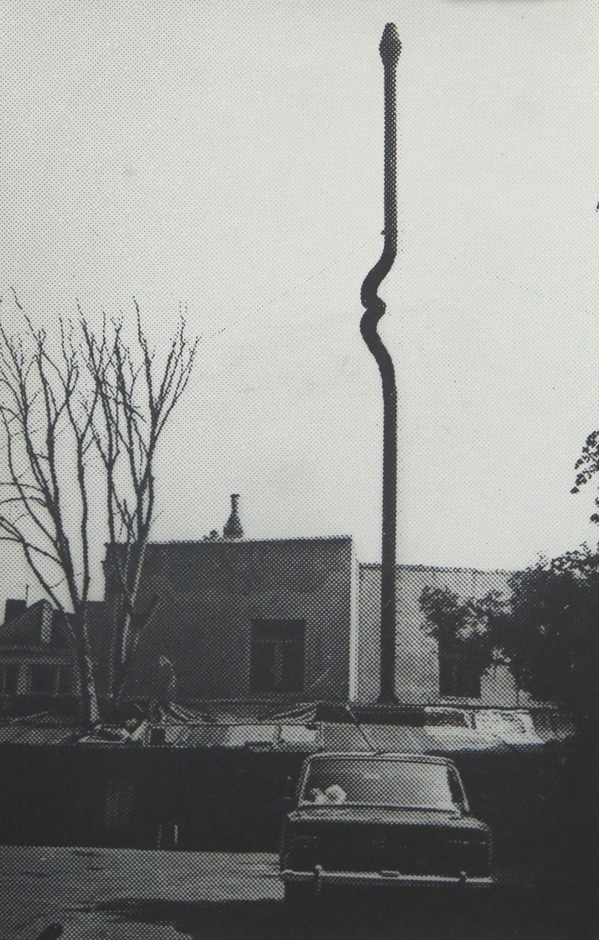 lot picture