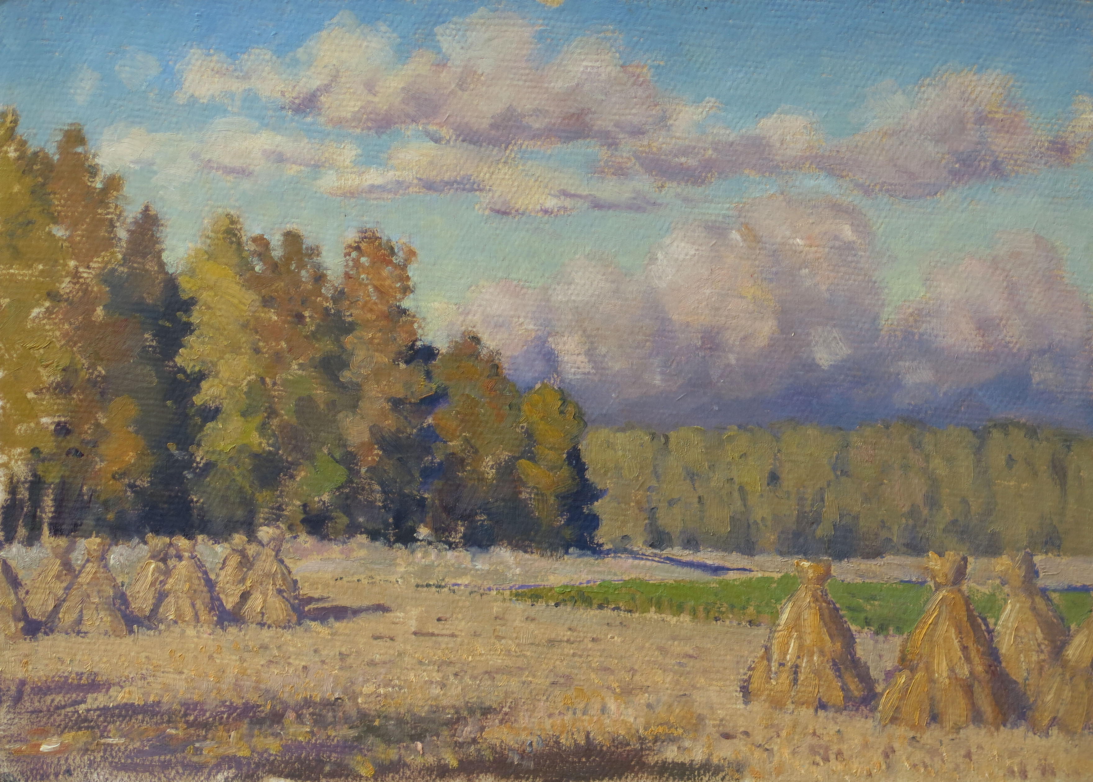lot picture