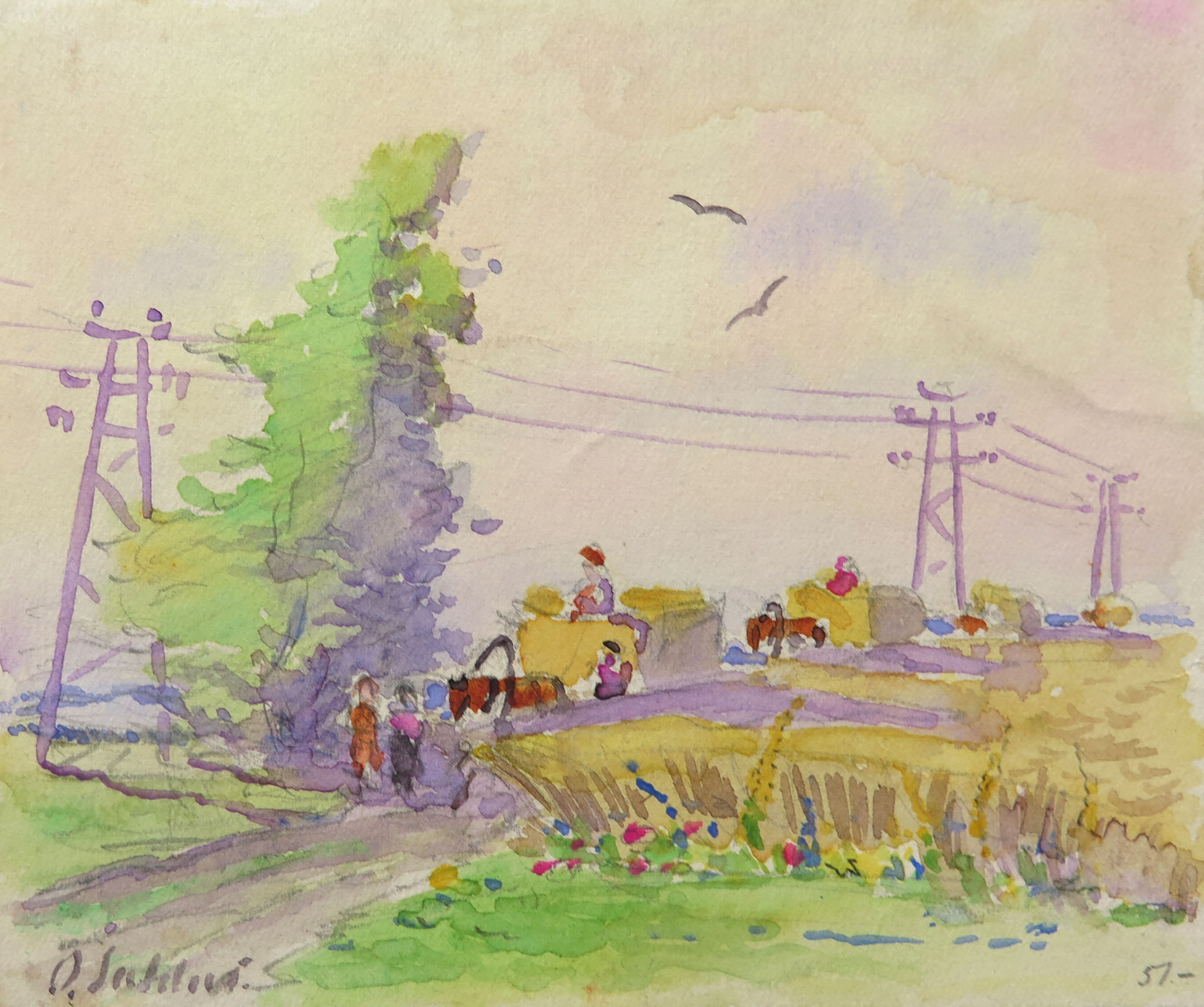 lot picture