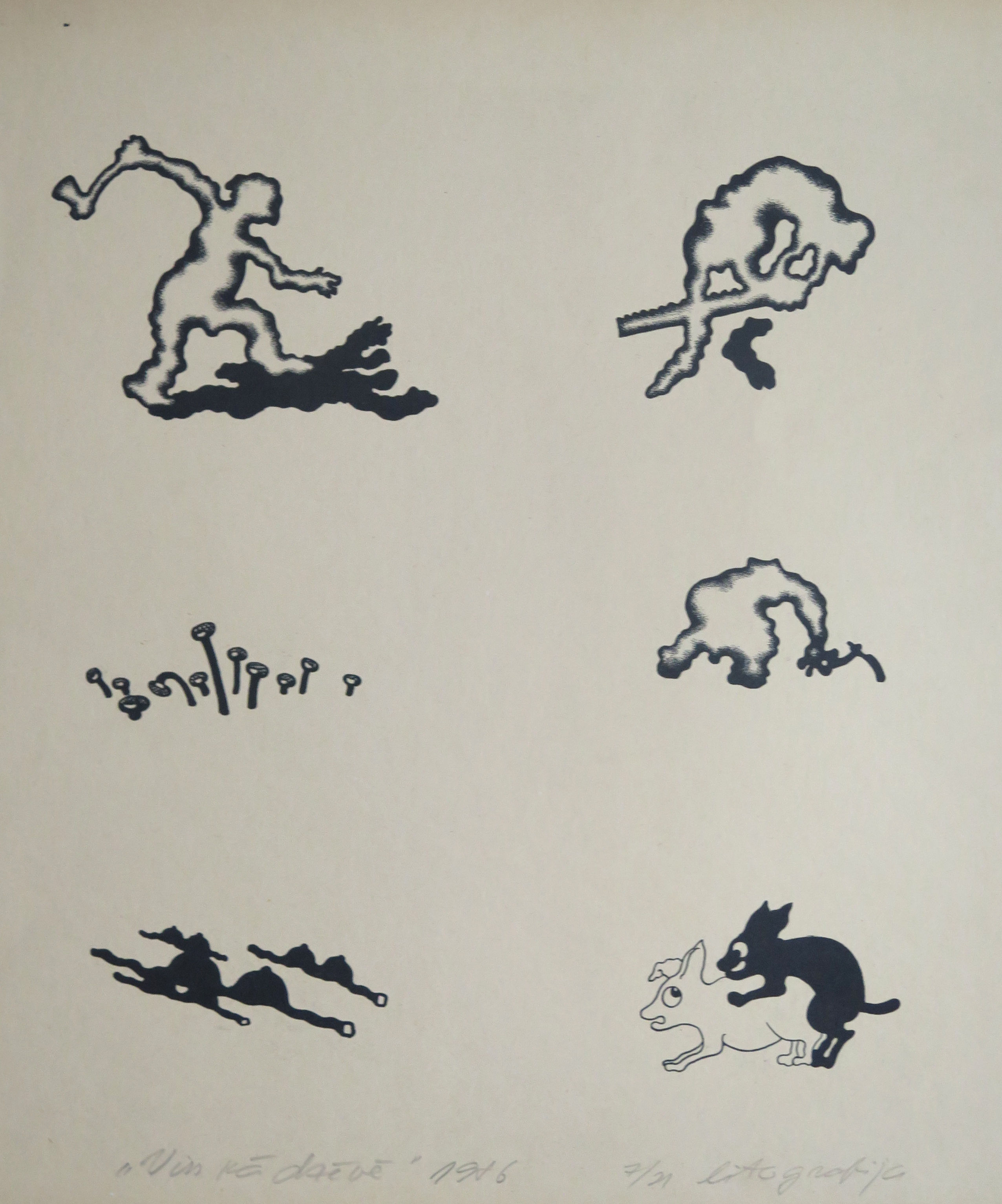 lot picture