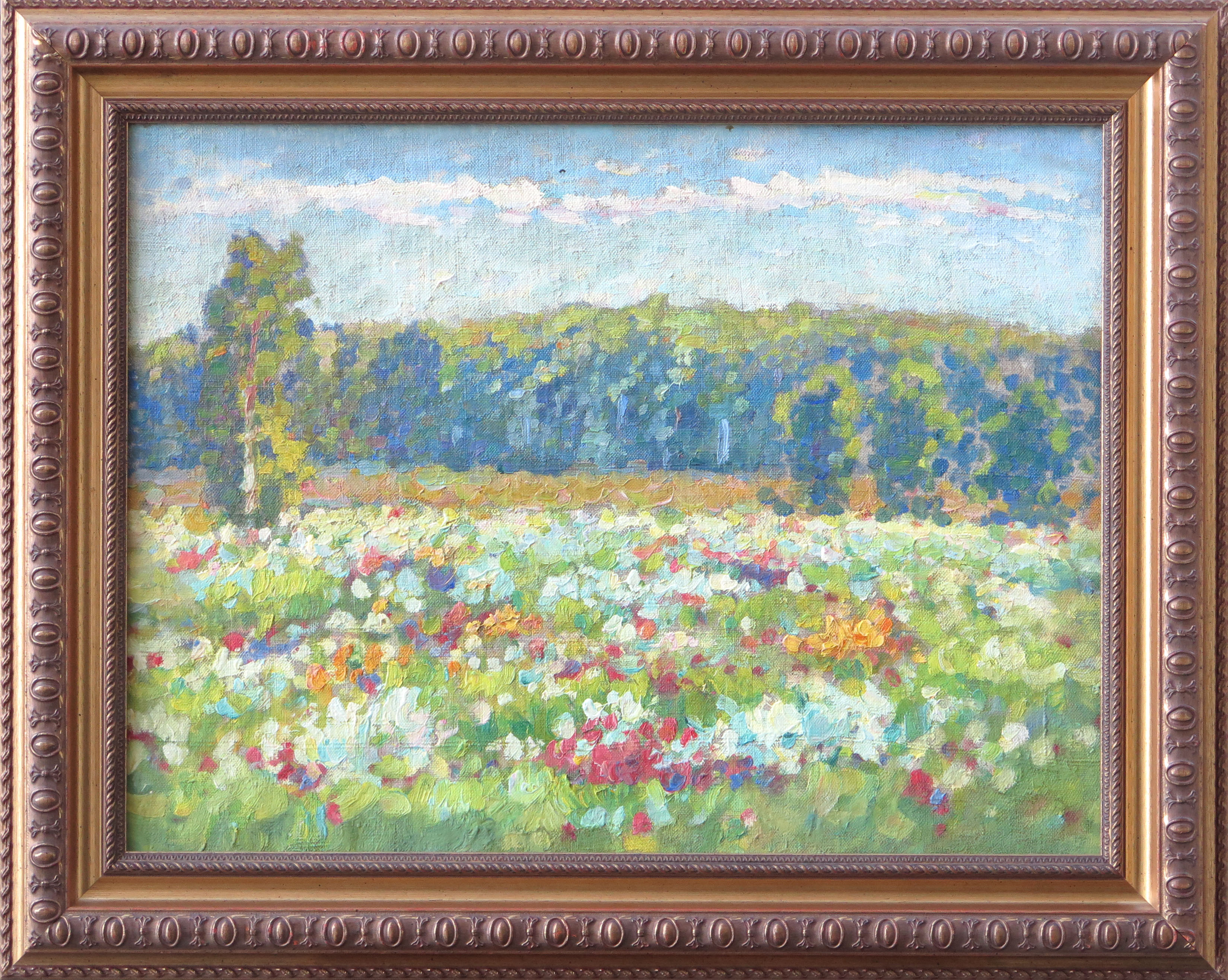 lot picture