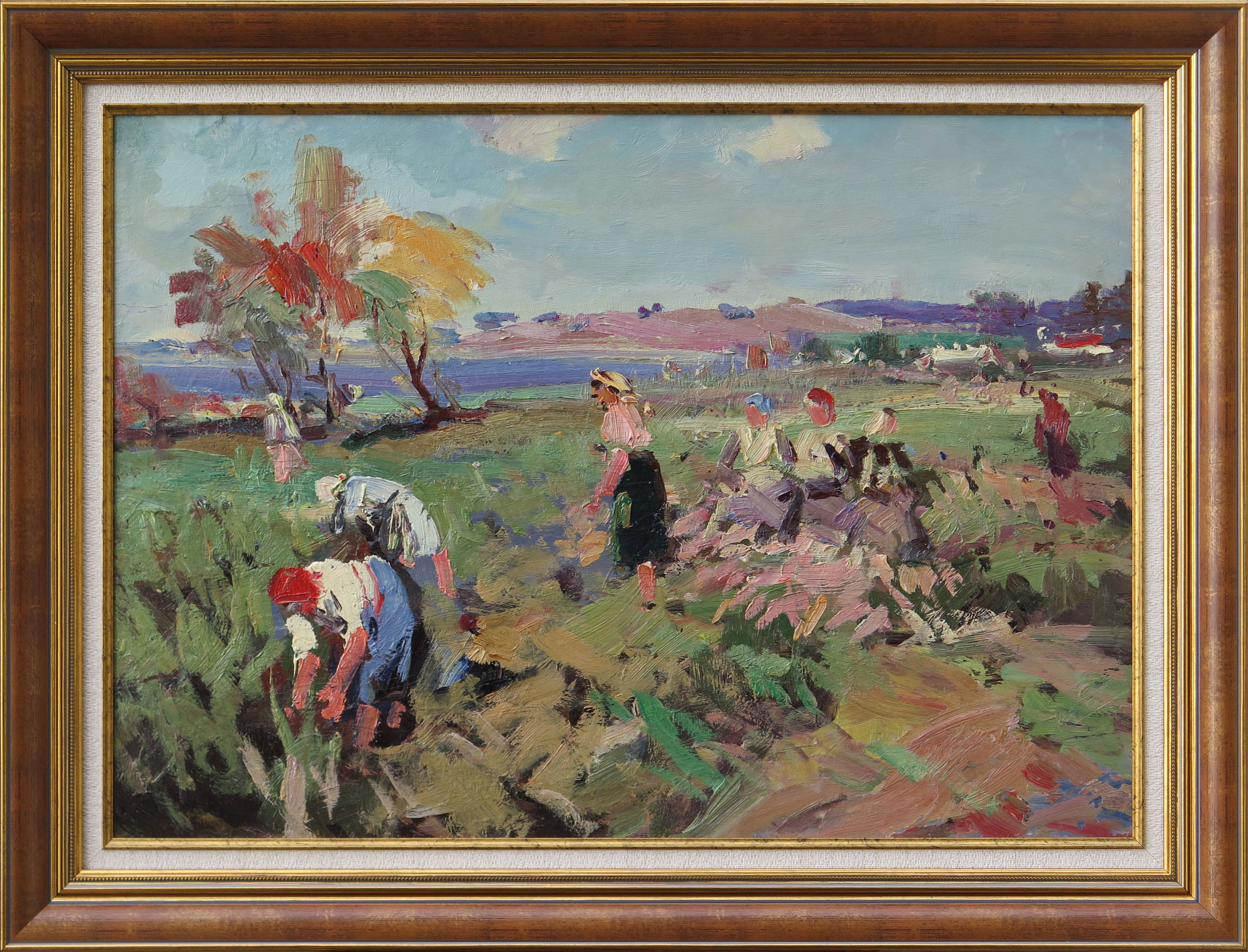 lot picture
