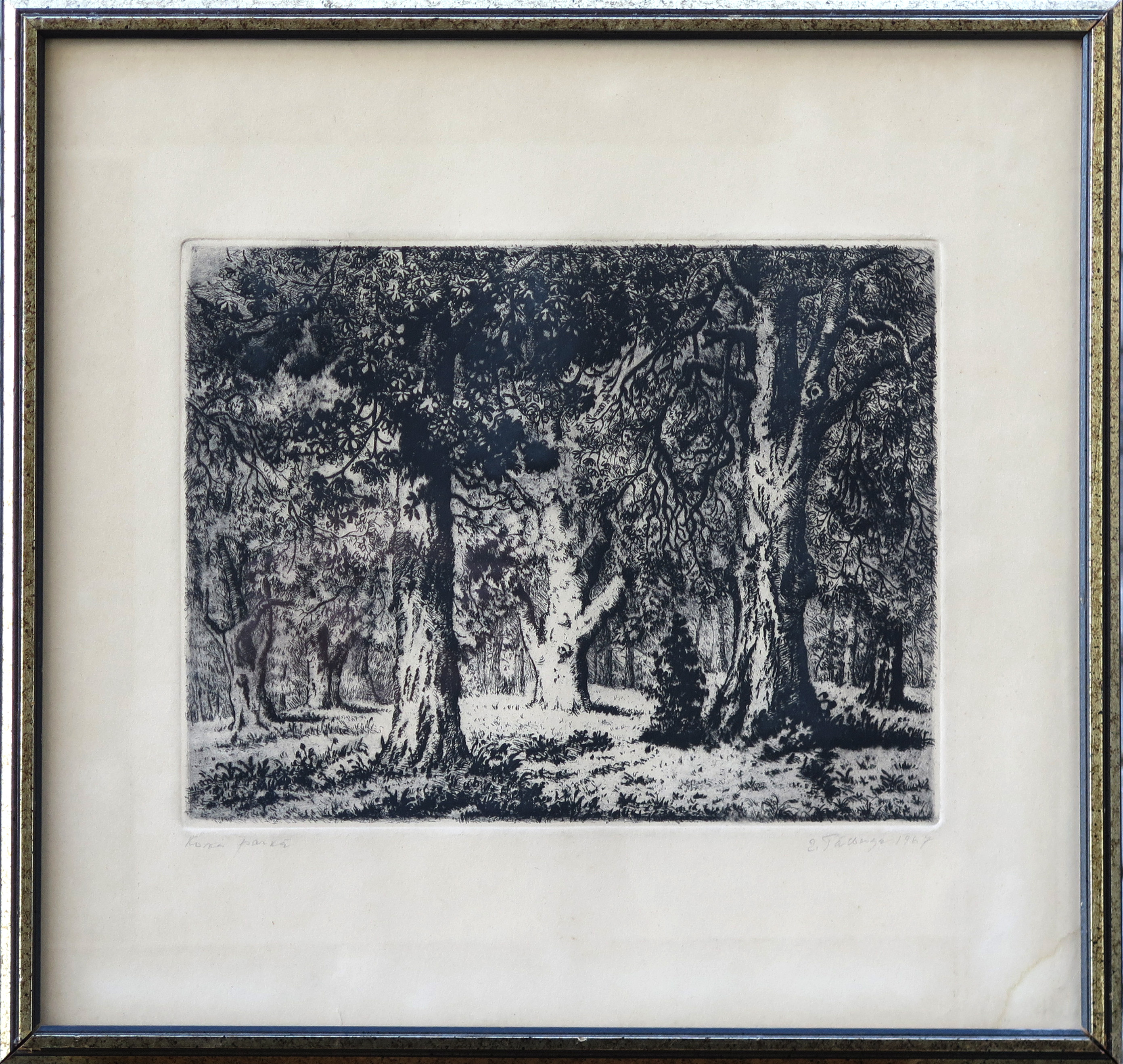 lot picture