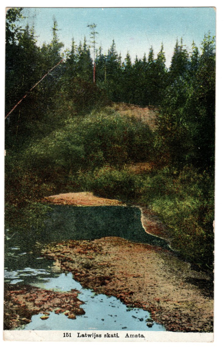 lot picture