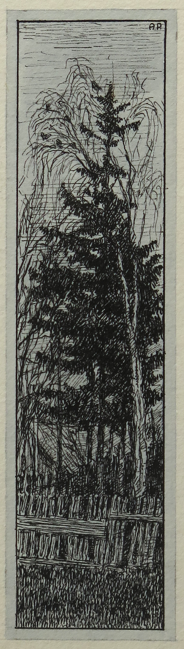 lot picture