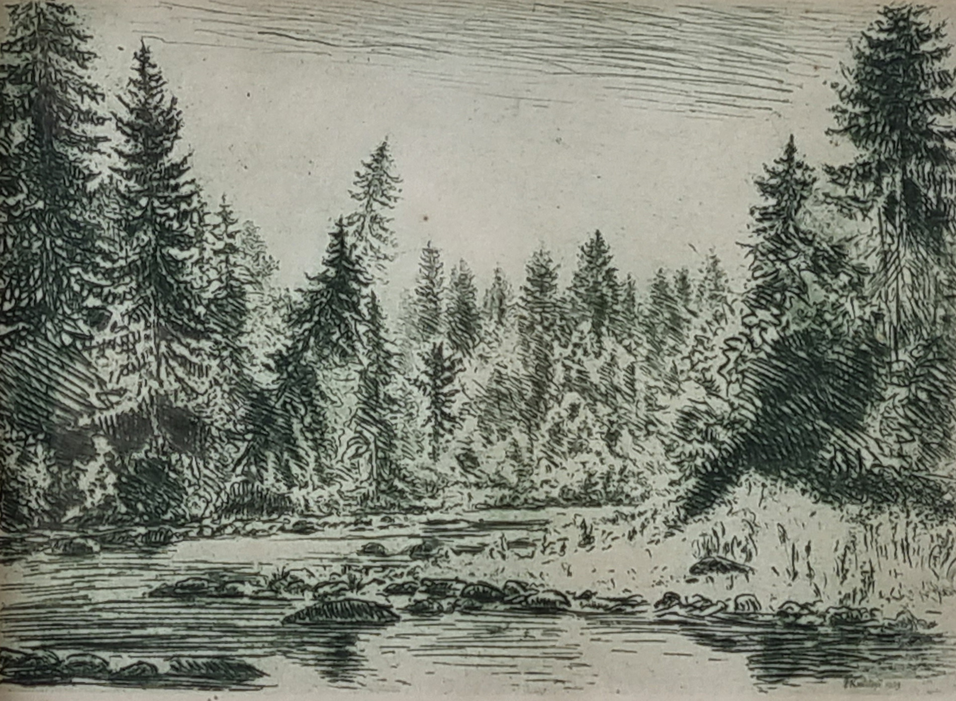 lot picture
