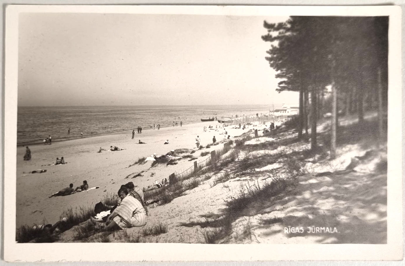 lot picture