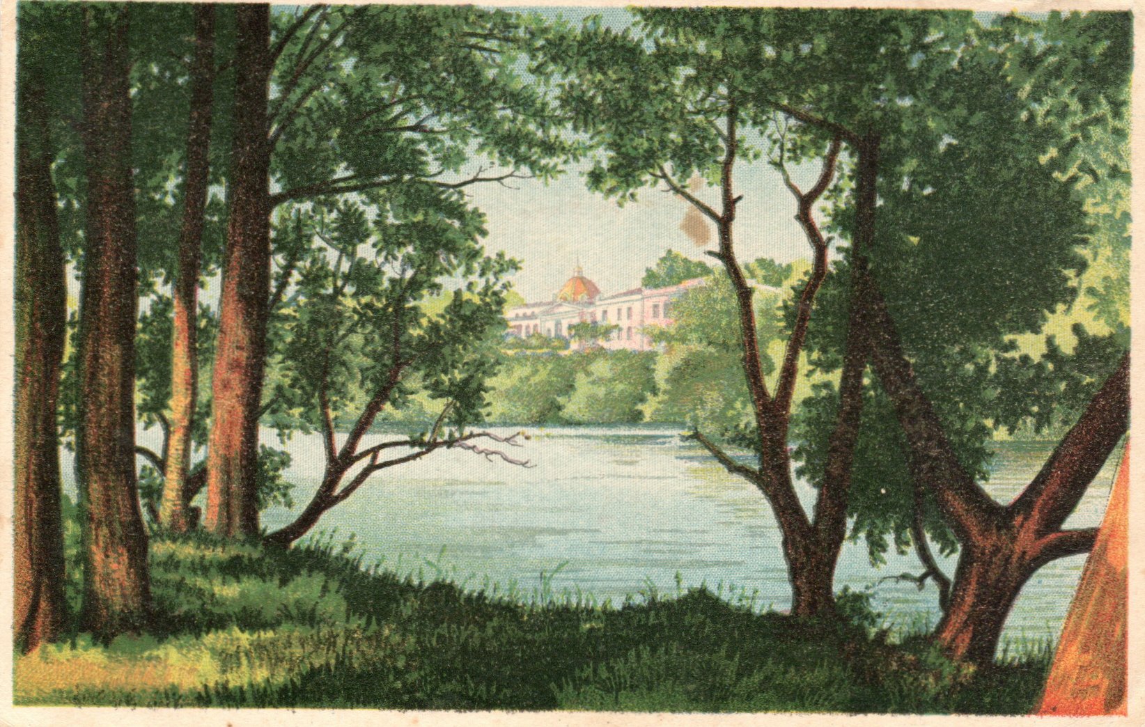 lot picture