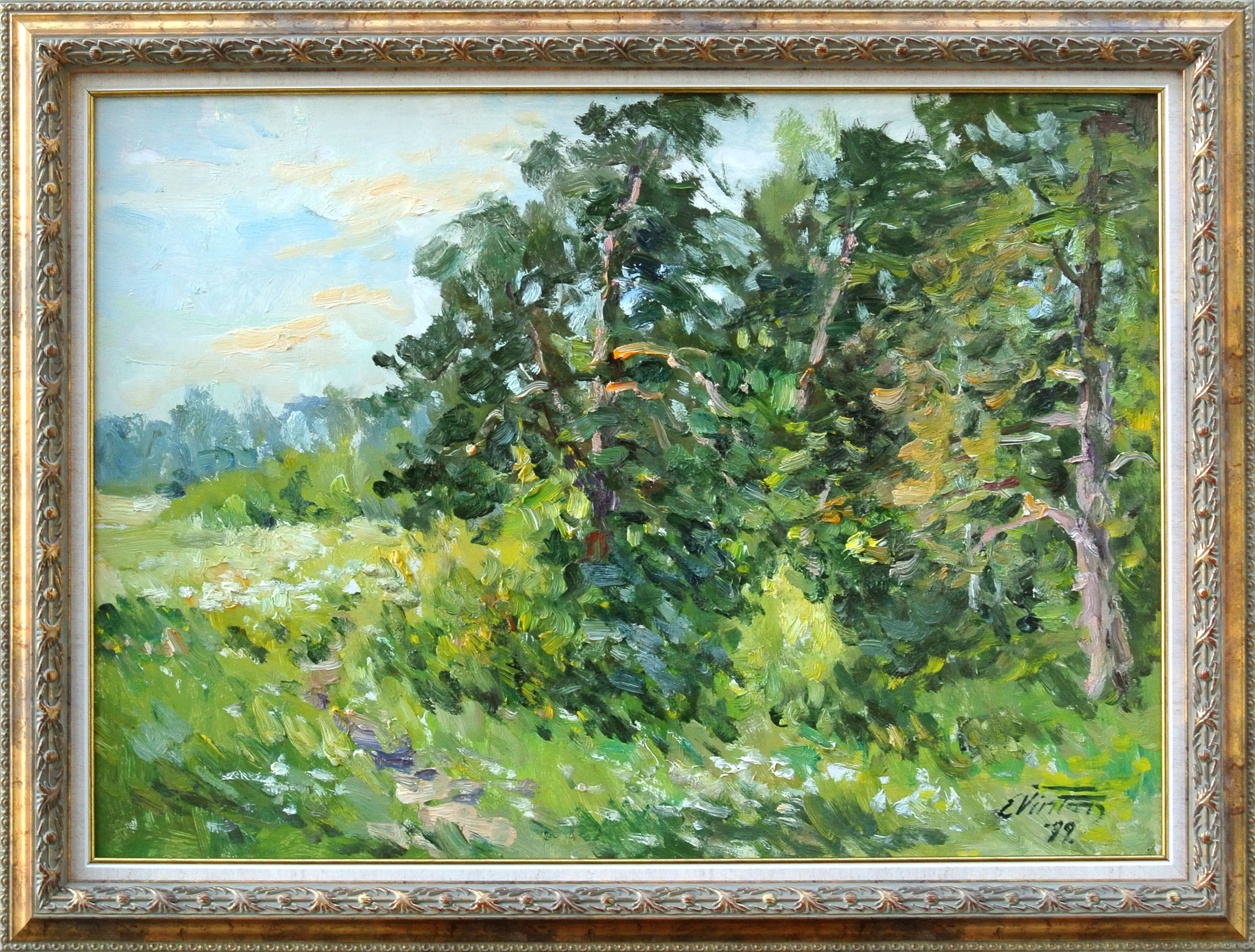 lot picture