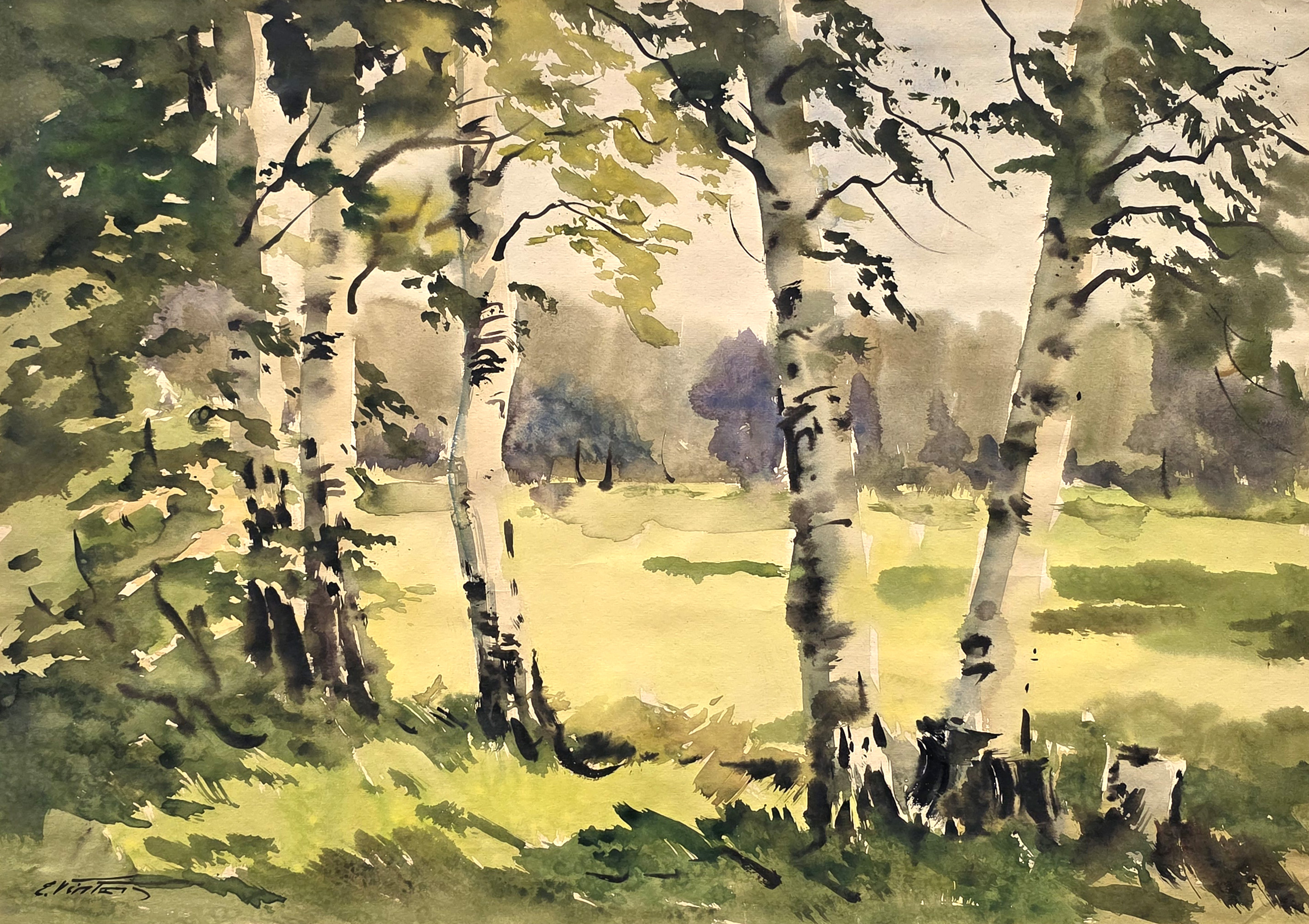 lot picture