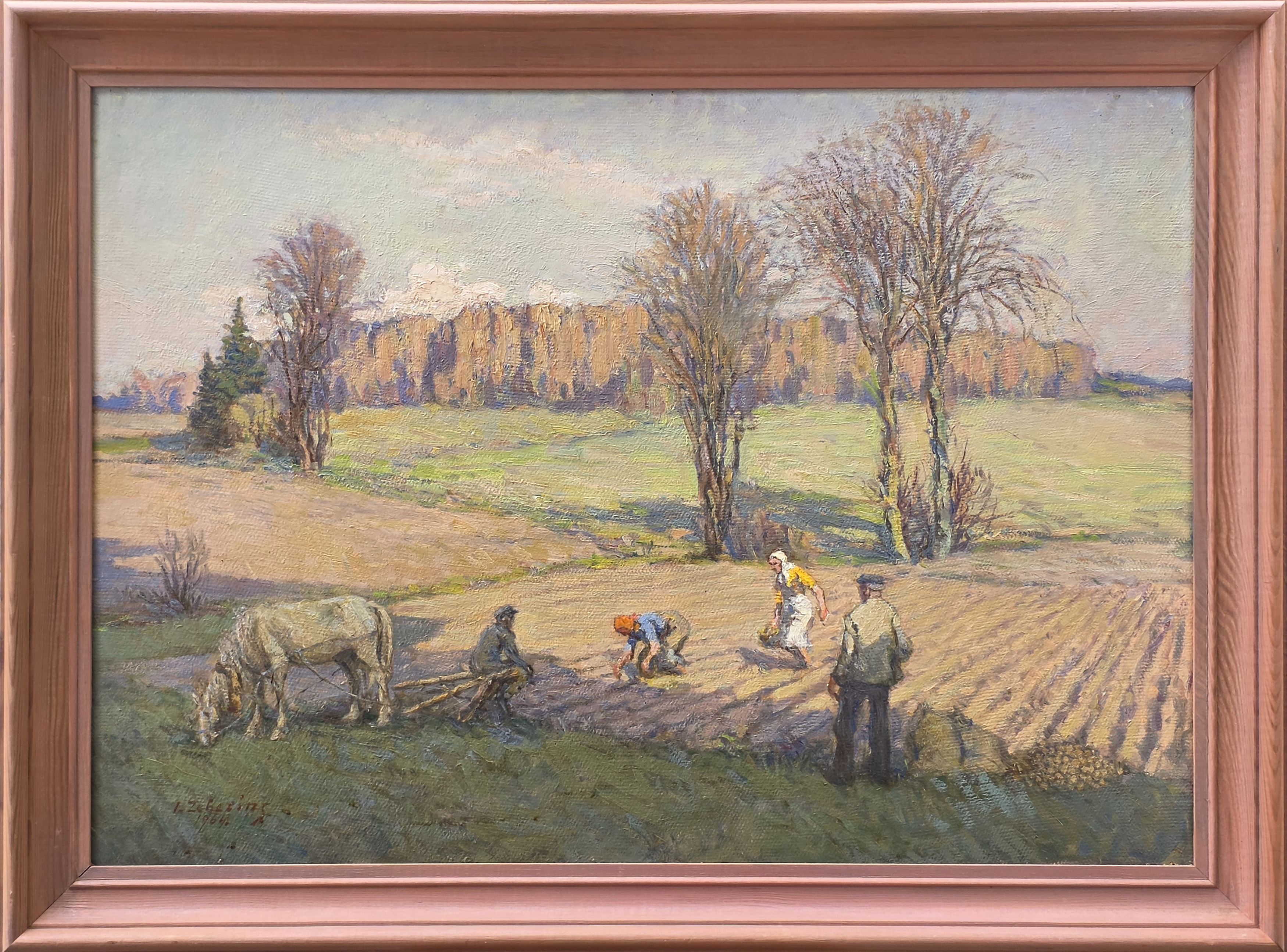 lot picture