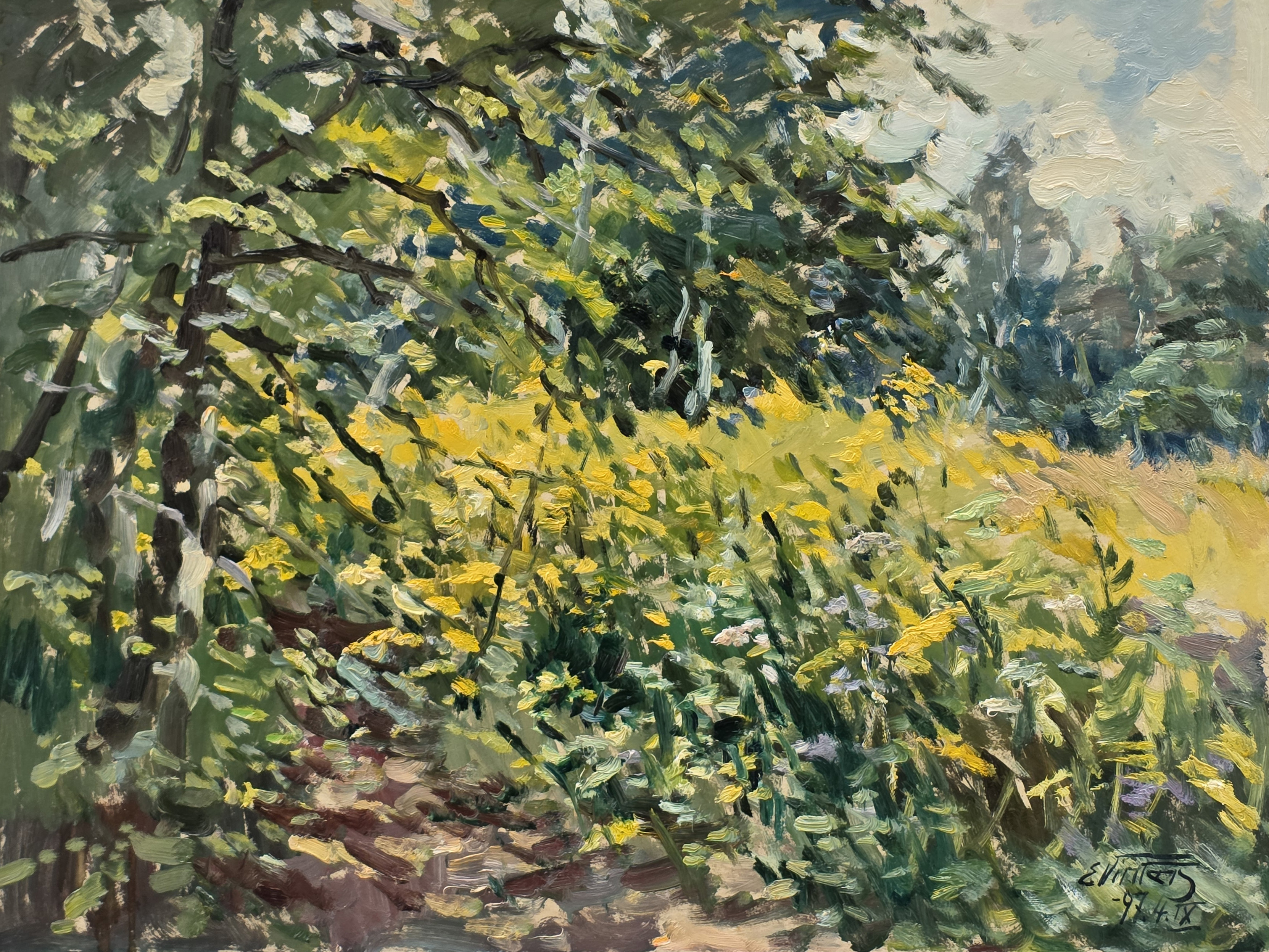 lot picture