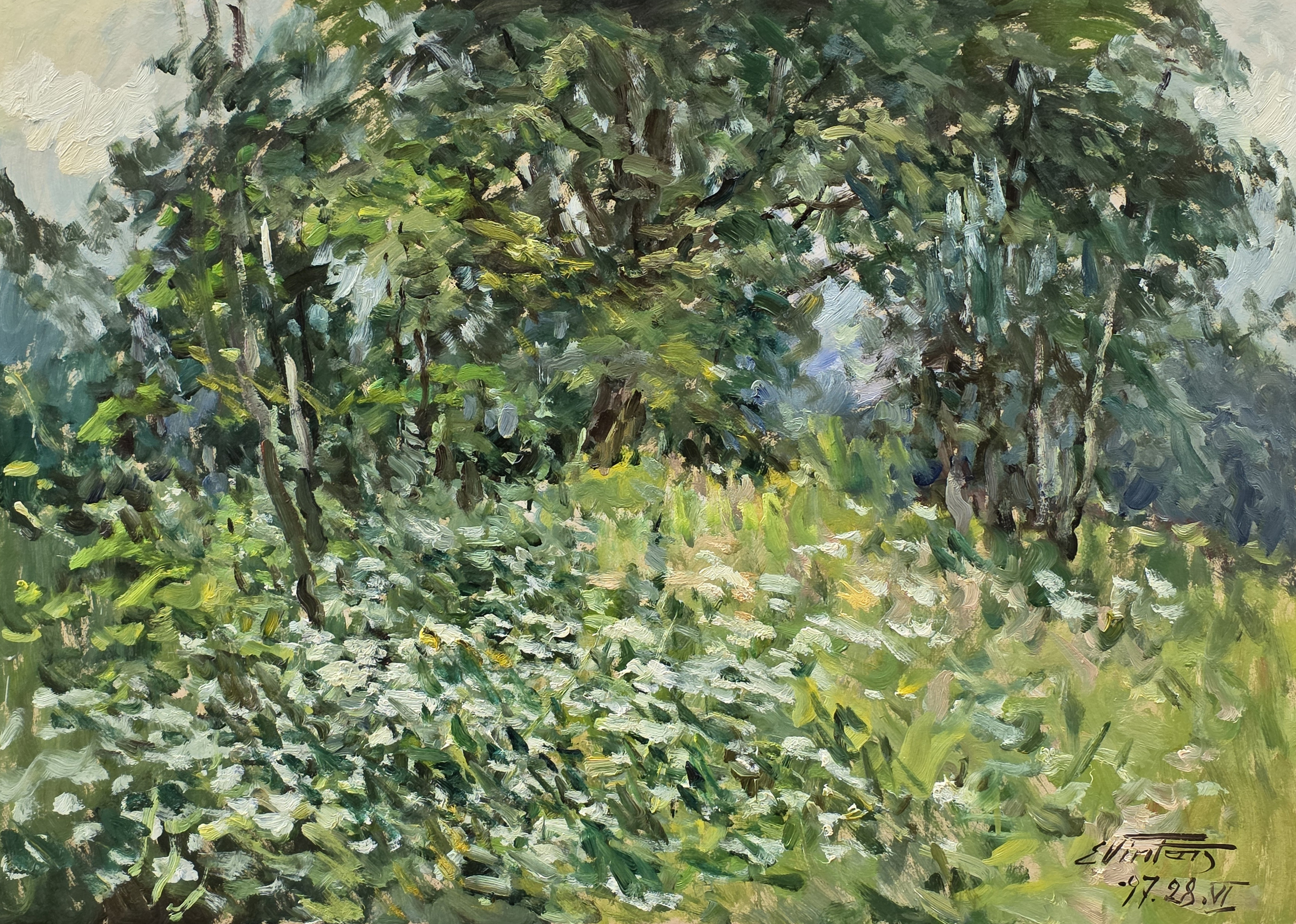 lot picture