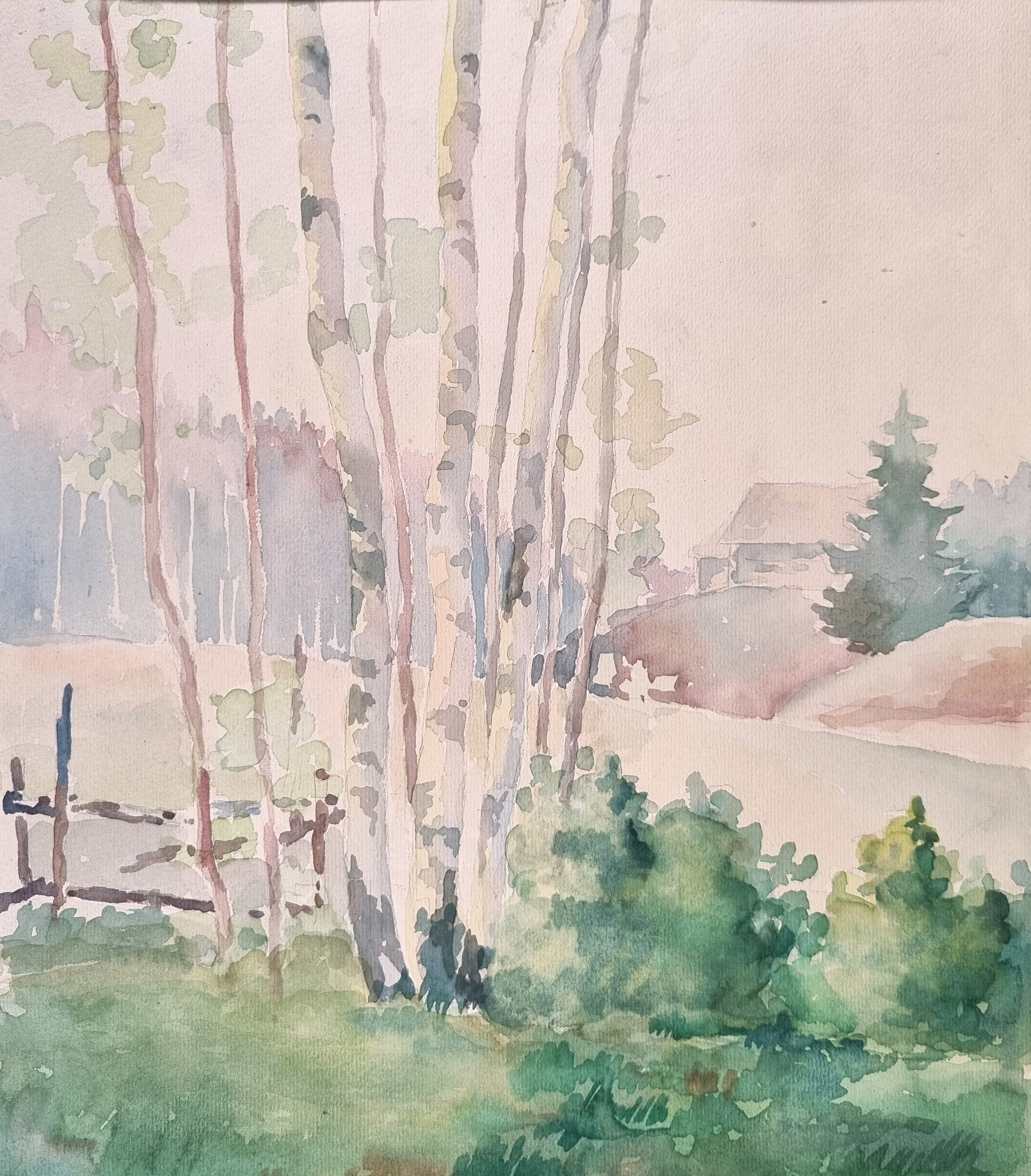 lot picture