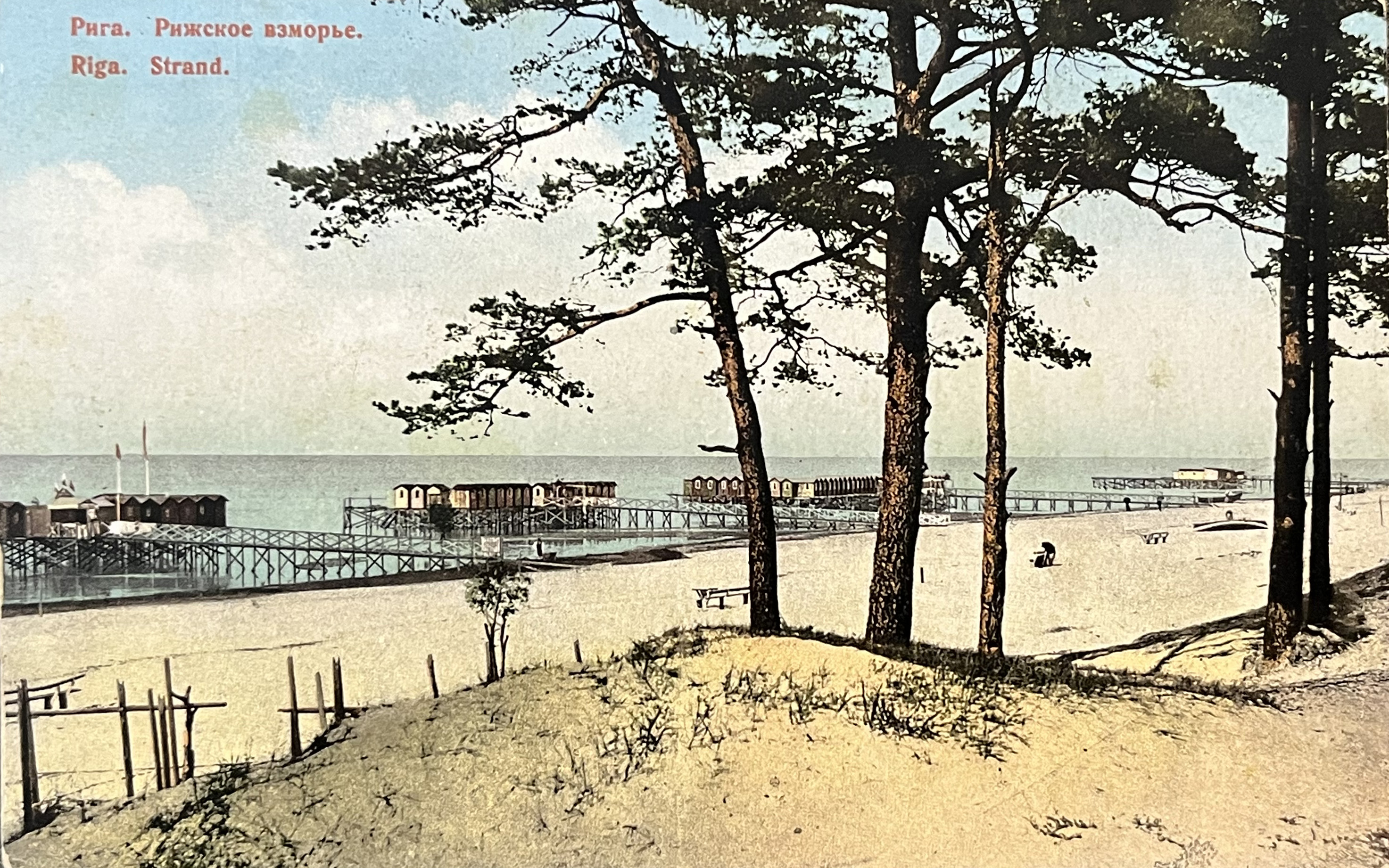 lot picture