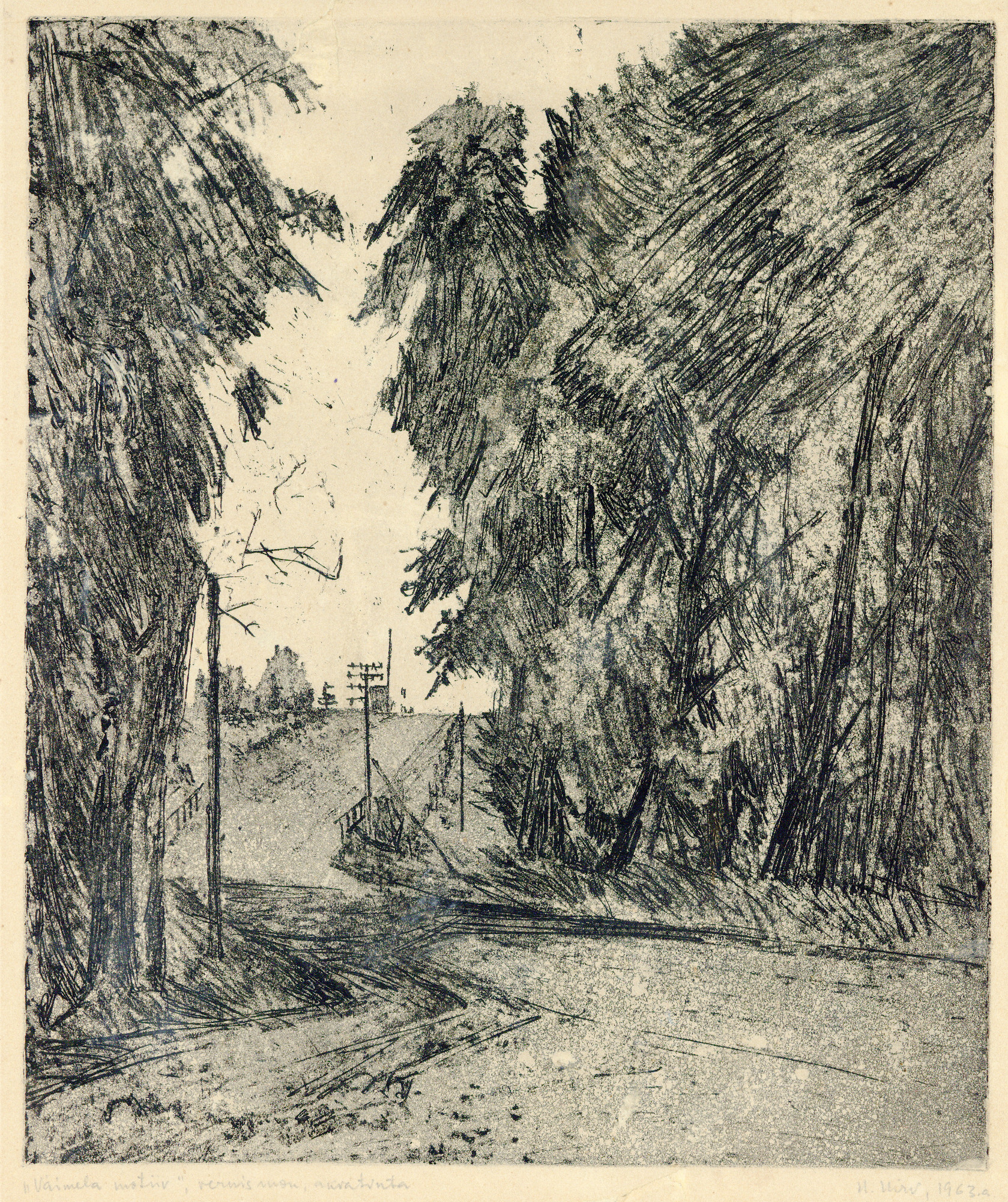 lot picture