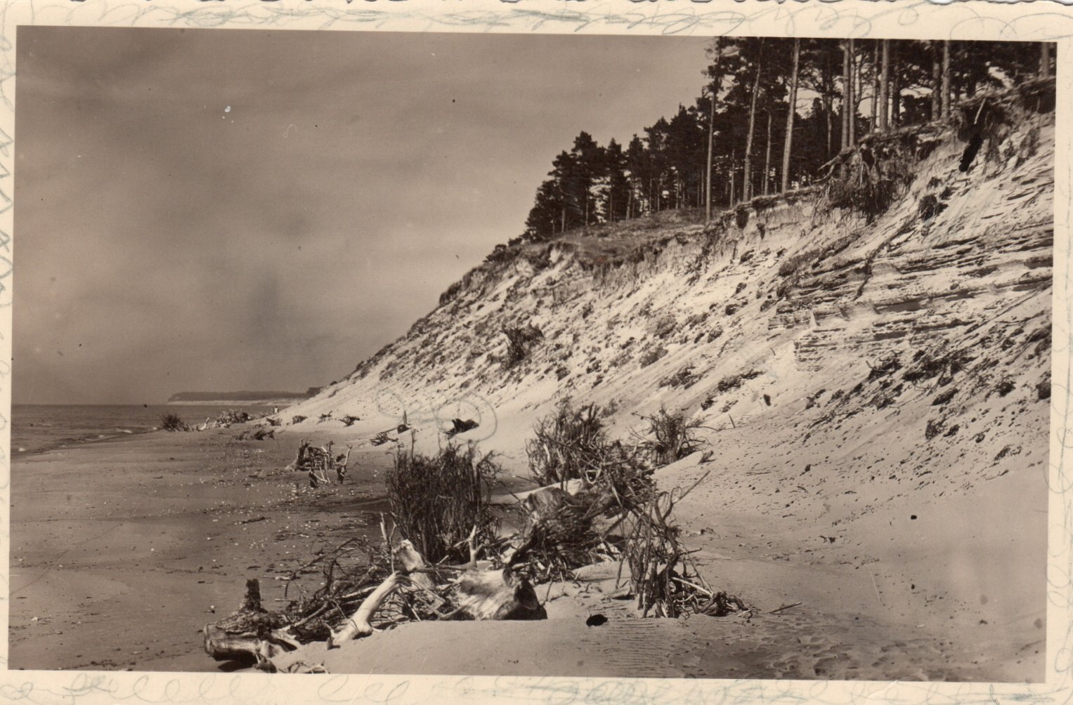lot picture