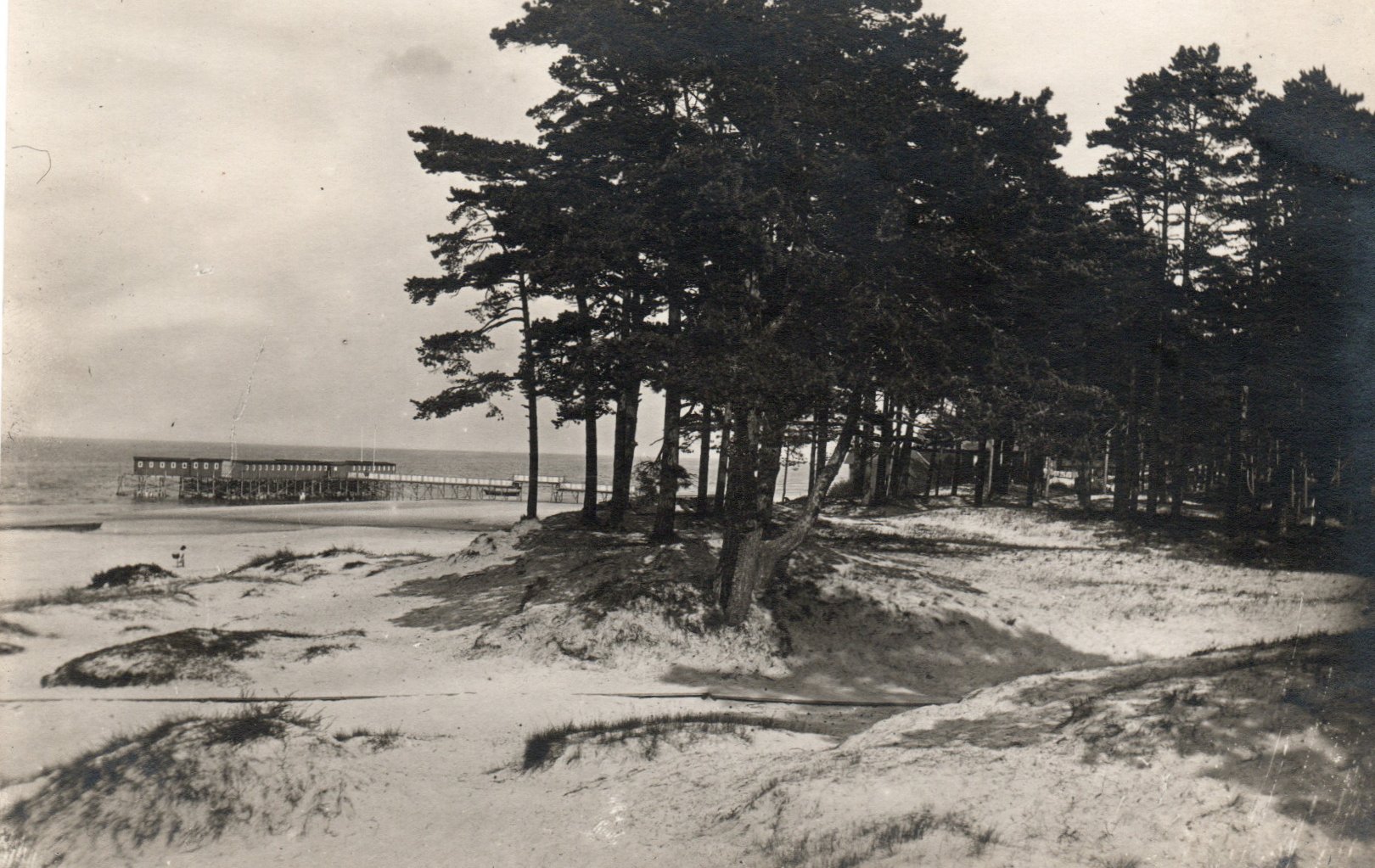 lot picture