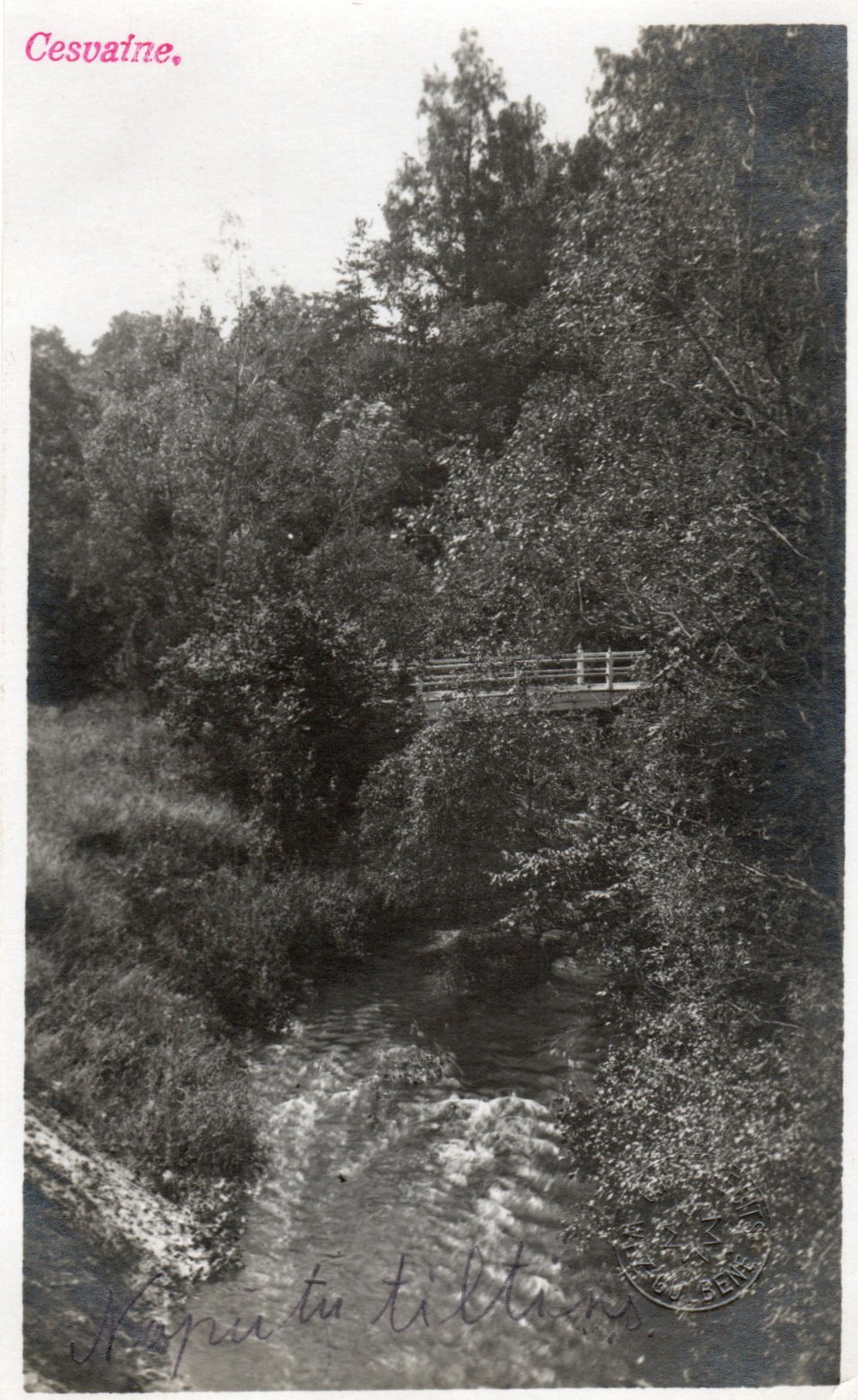 lot picture