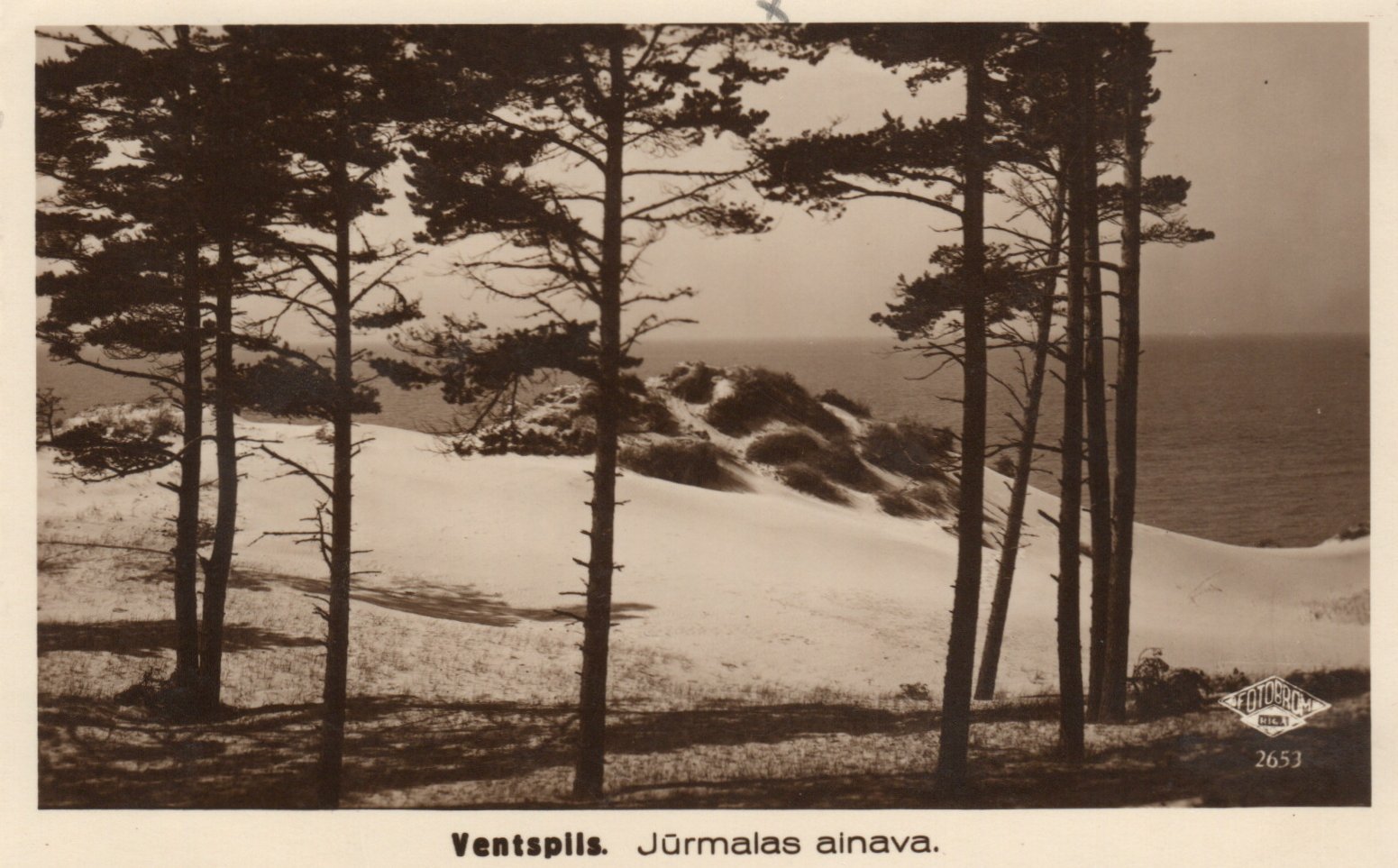 lot picture