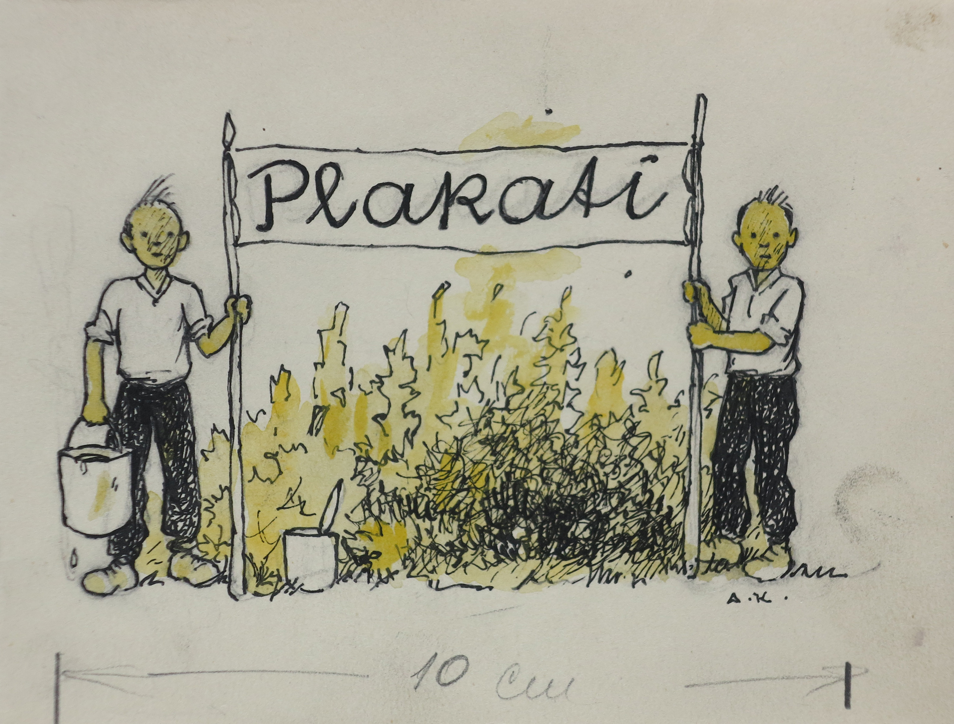 lot picture