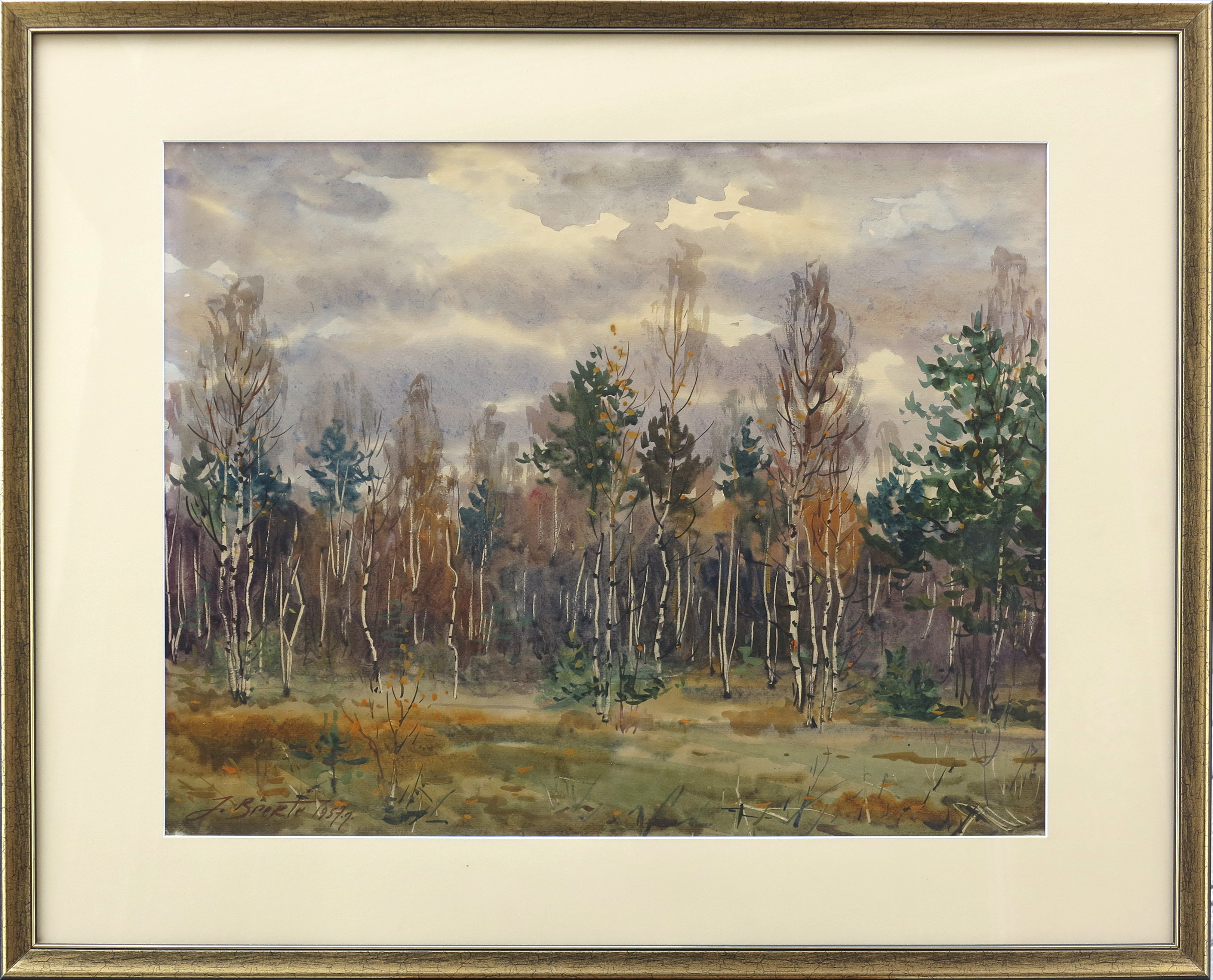 lot picture