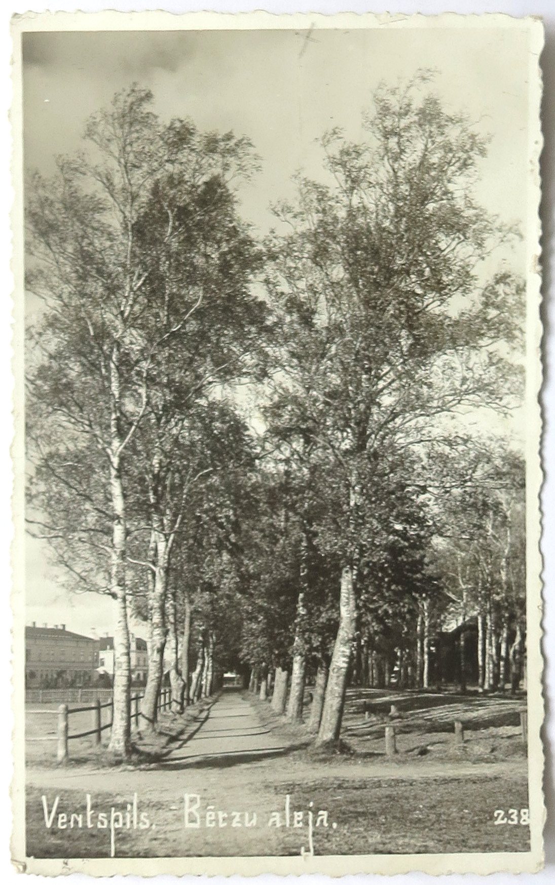 lot picture