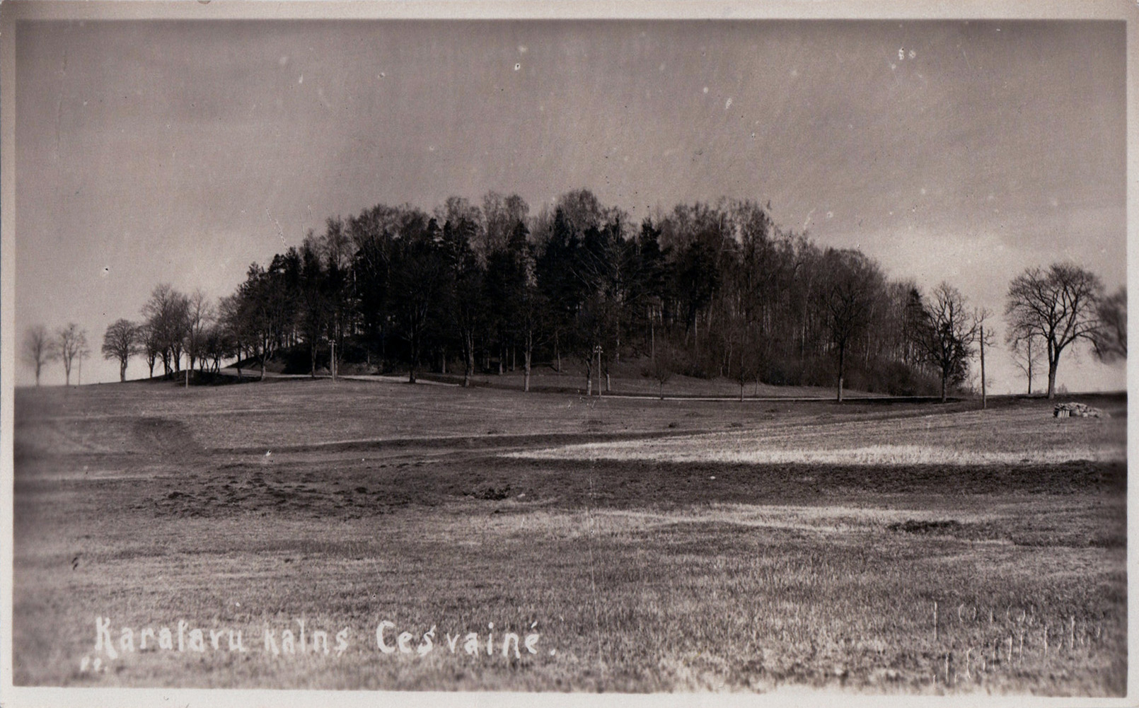 lot picture
