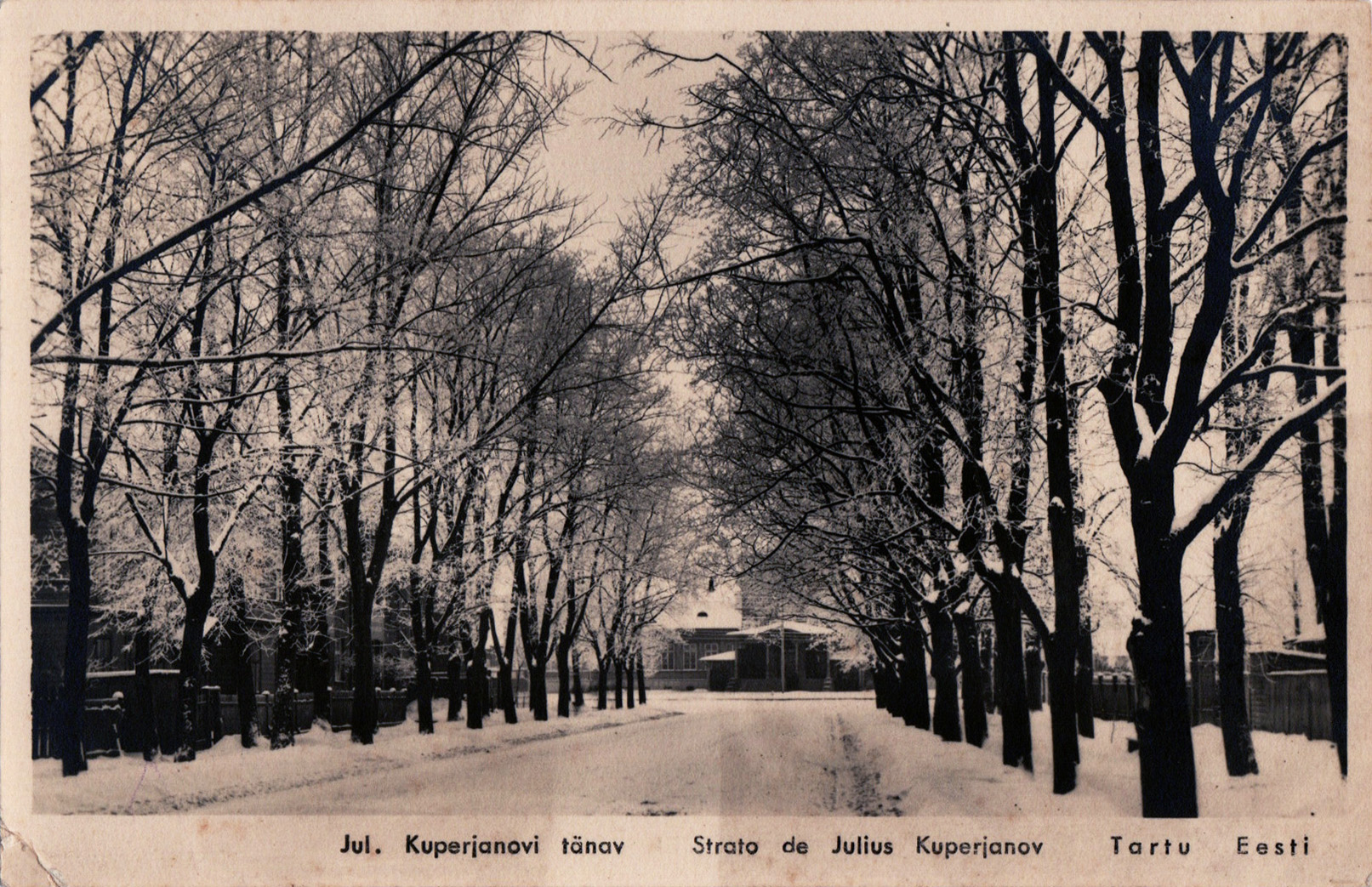lot picture