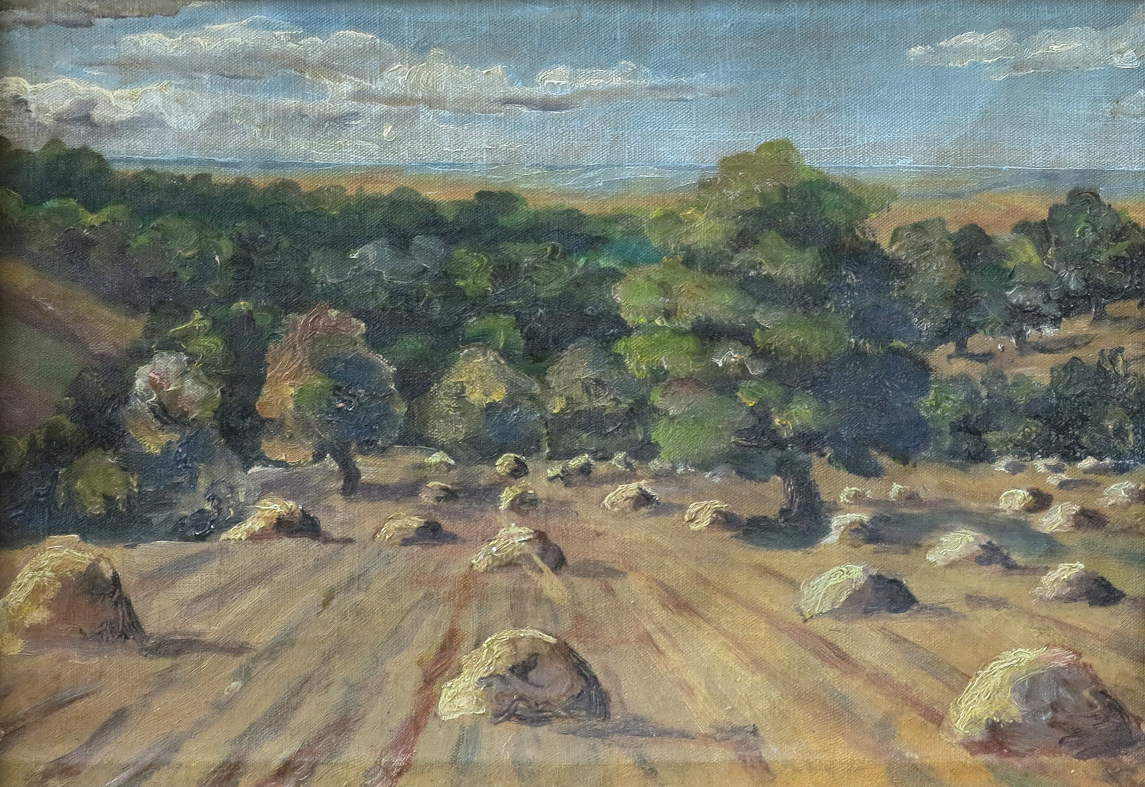 lot picture