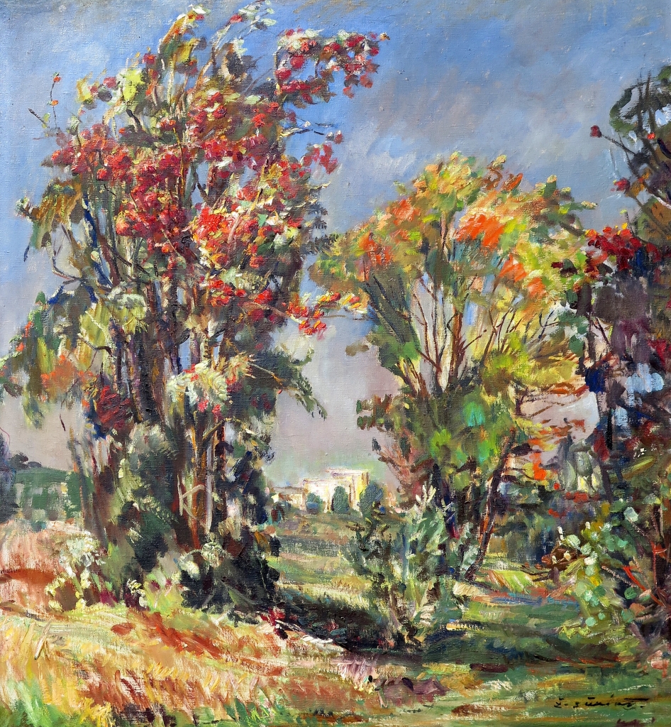 lot picture