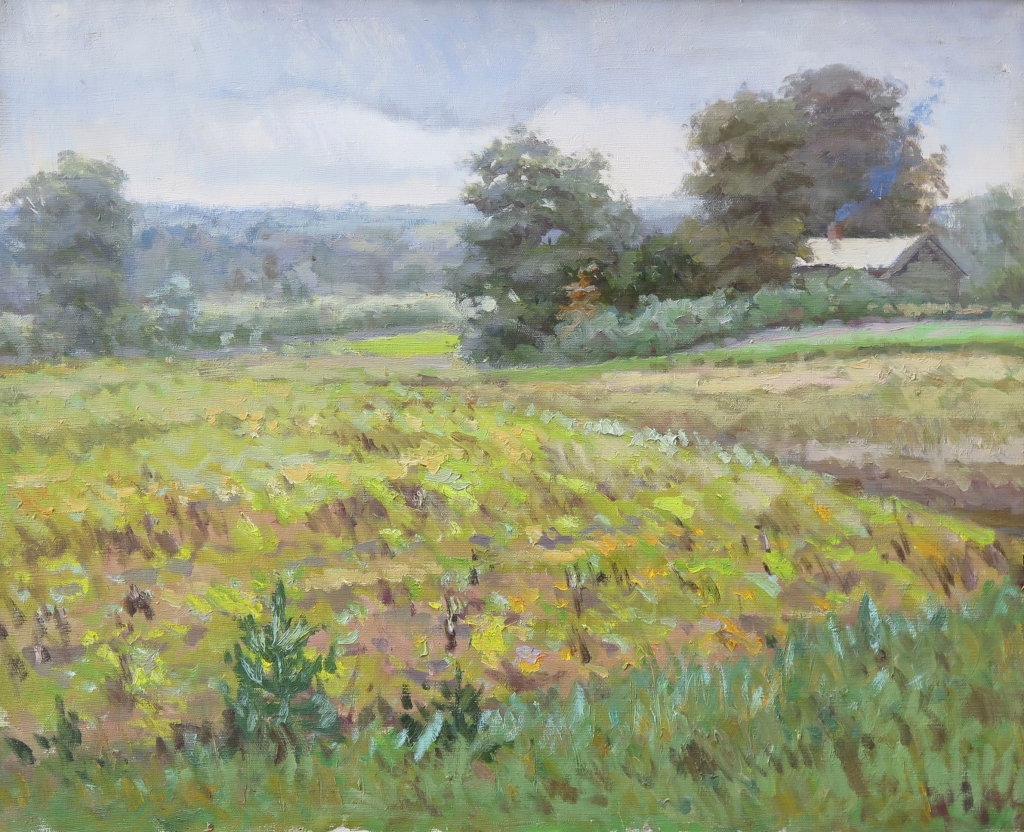 lot picture