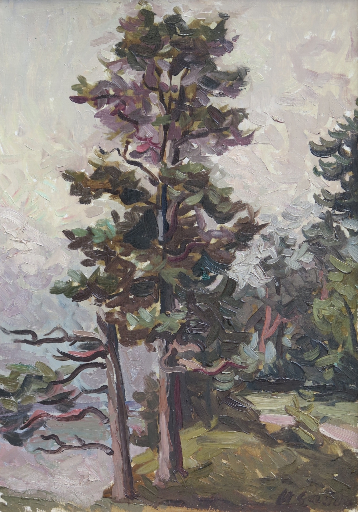 lot picture