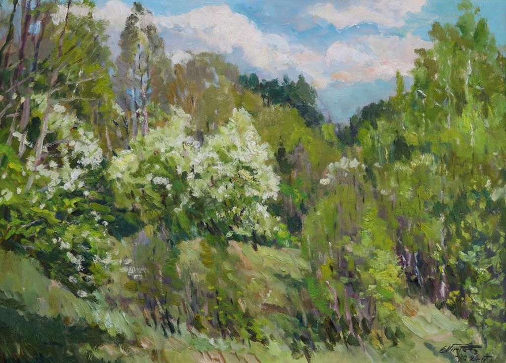 lot picture