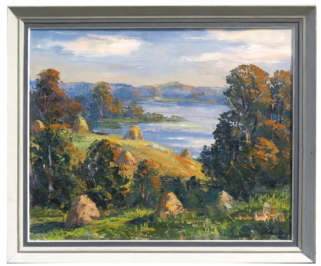 lot picture
