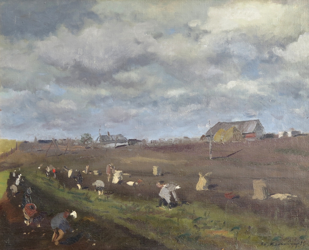 lot picture