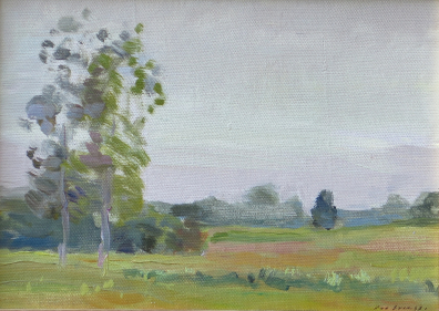 lot picture