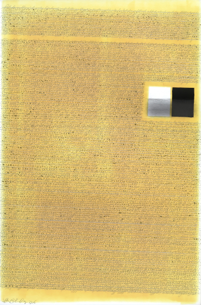 lot picture