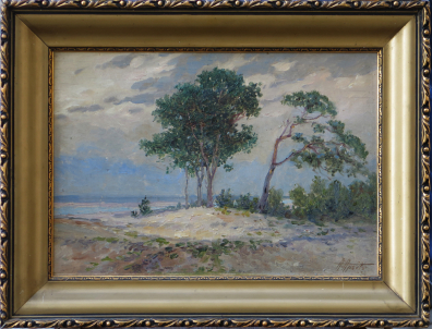 lot picture