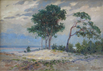 lot picture