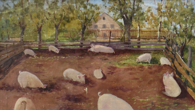 lot picture