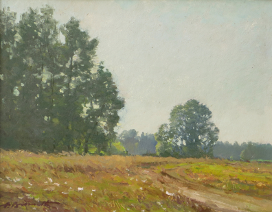 lot picture