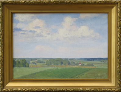 lot picture