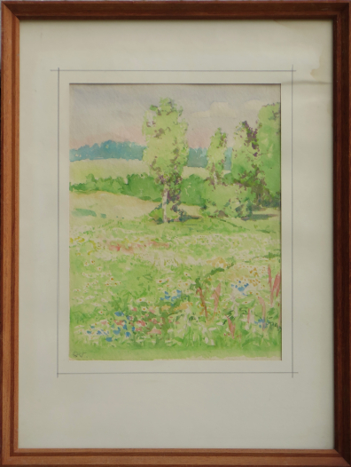 lot picture
