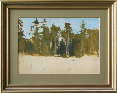 lot picture