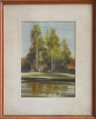 lot picture