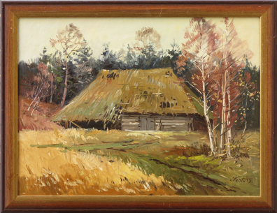 lot picture