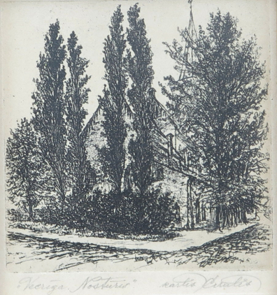 lot picture