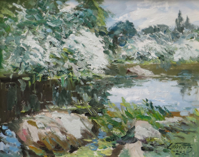 lot picture
